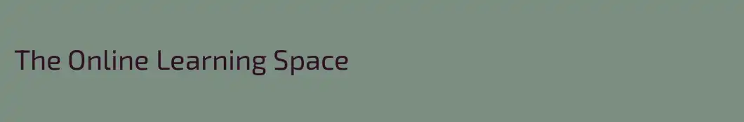 The Online Learning Space